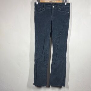 Banana Republic Factory Blue Ryan Fit Pants size 2